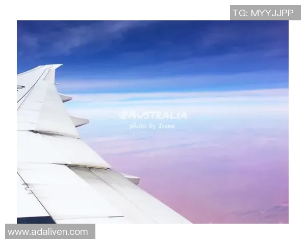 澳南超精彩对决阿德莱德彗星迎战地铁之星激情碰撞